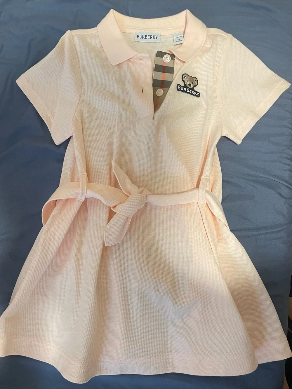 Burberry classic polo